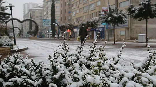 Elazığ güne karla uyandı