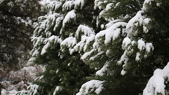 Elazığ güne karla uyandı