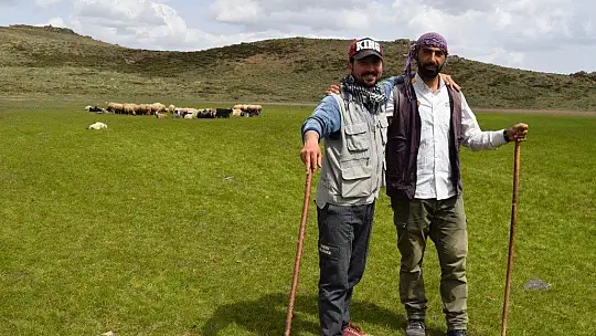 Elazığ'ın 2 bin rakımdaki kalp gölü Bervi kurudu, hayvanlara otlak oldu