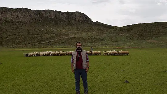 Elazığ'ın 2 bin rakımdaki kalp gölü Bervi kurudu, hayvanlara otlak oldu