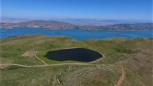 Elazığ'ın 2 bin rakımdaki kalp gölü Bervi kurudu, hayvanlara otlak oldu