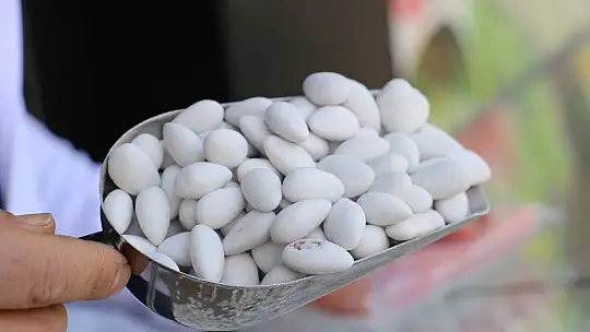 Elazığ'ın beyaz altını, Ramazan geldi üretimi de tüketimi de 10 kat arttı