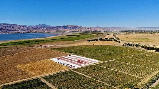 Elazığ'ın domatesi kurutulup dünyaya gönderiliyor