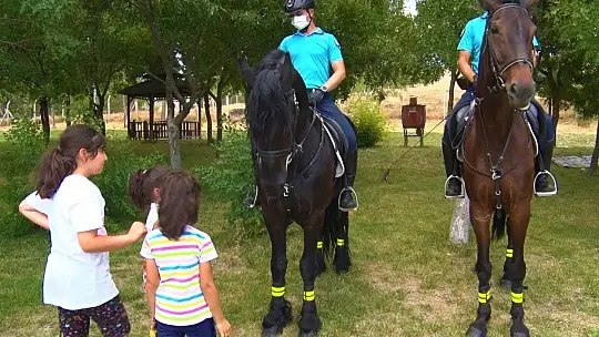 Elazığ'ın tarihi ve piknik alanları, atlı jandarma birliklerine emanet