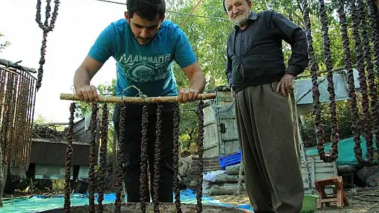 Elazığ'ın tescilli lezzeti 'orcik' için mesai başladı