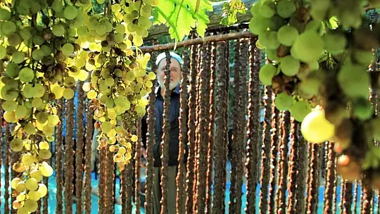 Elazığ'ın tescilli lezzeti 'orcik' için mesai başladı