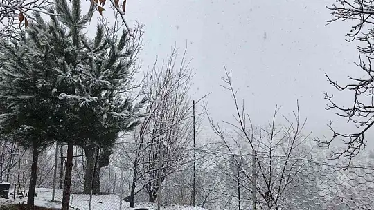 Elazığ'ın yüksek kesimlerinde kar etkili oldu