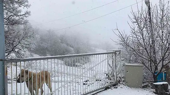 Elazığ'ın yüksek kesimlerinde kar etkili oldu