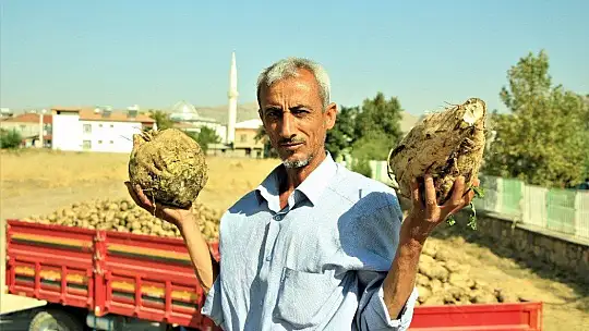 Elazığ Şeker Fabrikası pancar alım kampanyasını başlattı