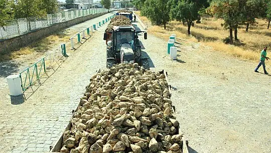 Elazığ Şeker Fabrikası pancar alım kampanyasını başlattı