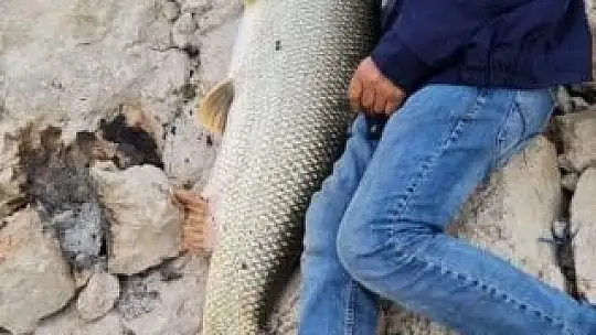 Elazığlı balıkçılar, olta ile 1.5 metrelik balık tuttu