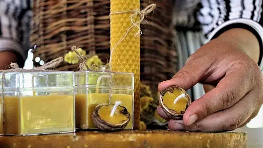 Ev hanımı yaptı, bahçe değil üretim merkezi