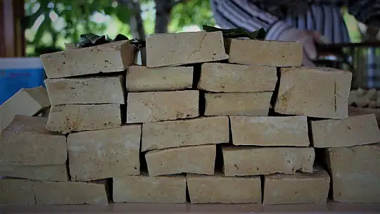 Ev hanımı yaptı, bahçe değil üretim merkezi