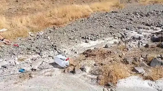 Evdeki yılan itfaiye ekiplerince çıkartıldı