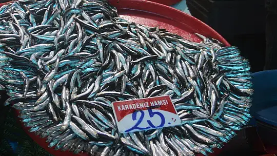 Fiyatlardaki düşüş, balıkçıların yüzünü güldürdü