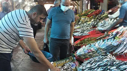 Fiyatlardaki düşüş, balıkçıların yüzünü güldürdü