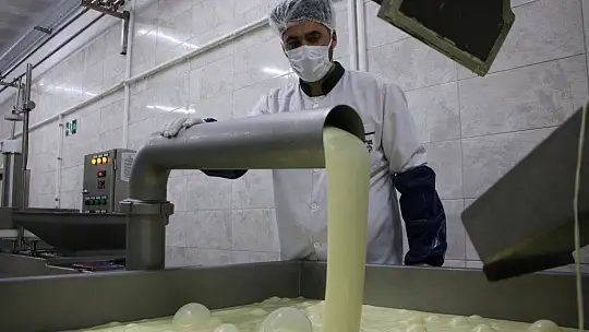 Genç girişimci, devletin desteğiyle 14 milyonluk yatırım yaptı
