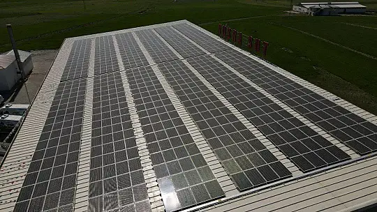 Genç girişimci, devletin desteğiyle 14 milyonluk yatırım yaptı