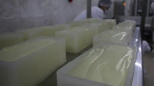 Genç girişimci, devletin desteğiyle 14 milyonluk yatırım yaptı