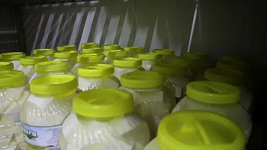 Genç girişimci, devletin desteğiyle 14 milyonluk yatırım yaptı