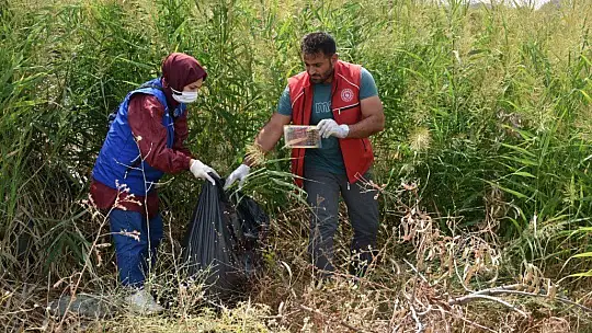Gönüllü gençler, Hazar Gölü çevresini temizledi