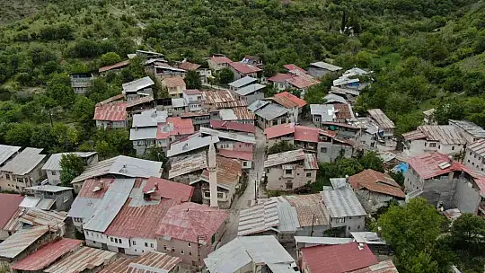 Hayalini gerçekleştirdi, gurbetten dönüp 300 yıllık köyün ilk kadın muhtarı oldu
