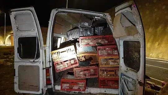 Hayvanları taşıyan minibüs refüje çıkıp aydınlatma direğini devirdi: 1'i ağır 2 yaralı