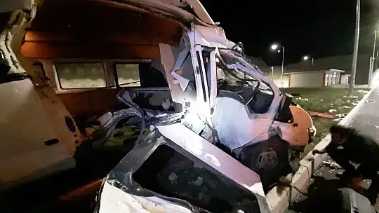 Hayvanları taşıyan minibüs refüje çıkıp aydınlatma direğini devirdi: 1'i ağır 2 yaralı