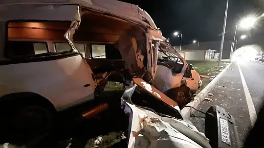 Hayvanları taşıyan minibüs refüje çıkıp aydınlatma direğini devirdi: 1'i ağır 2 yaralı