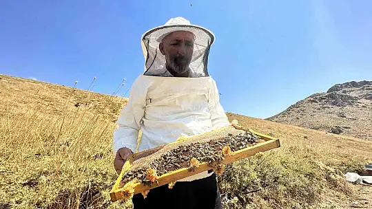 İklim değişikliği ve sıcaklık son 3 yılda bal rekoltesini yüzde 100 düşürdü
