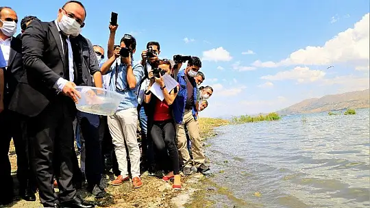 İlk defa üretimi yapılan 420 bin adet siraz balığı, Hazar Gölü'ne bırakıldı