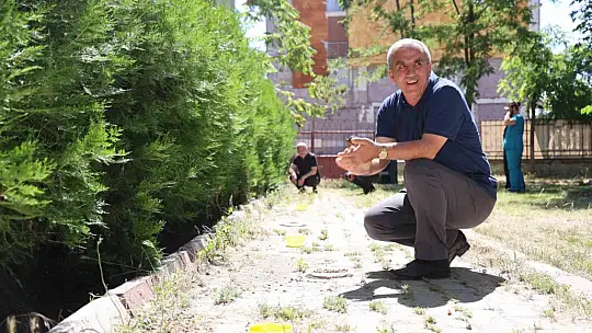 İlkokul öğrencileri sokak hayvanlarının yuvalarını onardı