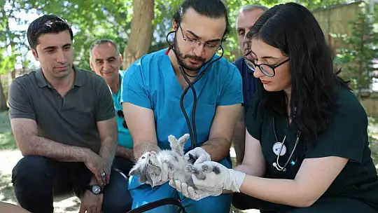 İlkokul öğrencileri sokak hayvanlarının yuvalarını onardı