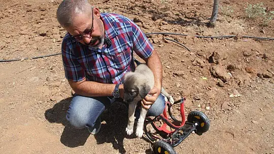 İnsanlık ölmemiş dedirten davranış