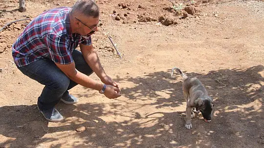 İnsanlık ölmemiş dedirten davranış