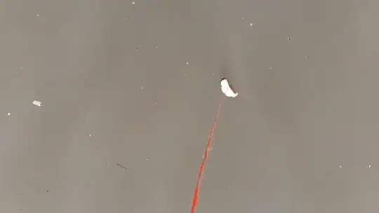Jandarma yaban keçilerine saman, balıklara drone ile ekmek bıraktı