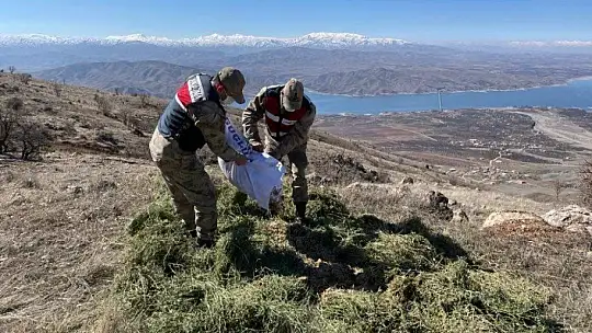 Jandarma yaban keçilerine saman, balıklara drone ile ekmek bıraktı