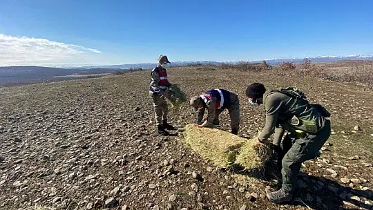Jandarma yaban keçilerine saman, balıklara drone ile ekmek bıraktı