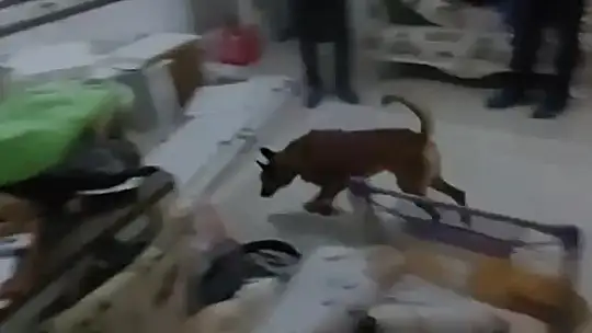 Jandarmadan uyuşturucu operasyonu: 7 tutuklama