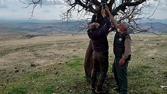 Kaçak ava karşı foto kapanlar kuruldu, kaçak meterisler yıkıldı