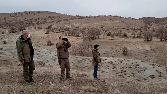 Kaçak ava karşı foto kapanlar kuruldu, kaçak meterisler yıkıldı
