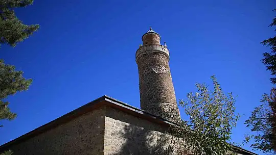 Kadir Gecesi'nde secde ettiği rivayet edilen dut ağacının hikayesi herkesi şaşırtıyor