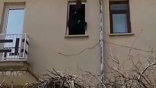 Sıkışan kargayı itfaiye kurtardı