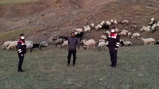 Kayıp sürü, jandarma tarafından drone ile bulundu