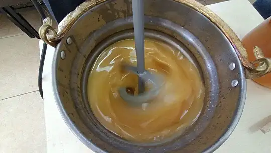 Kayısı Çekirdeği Üretime Kazandırıldı