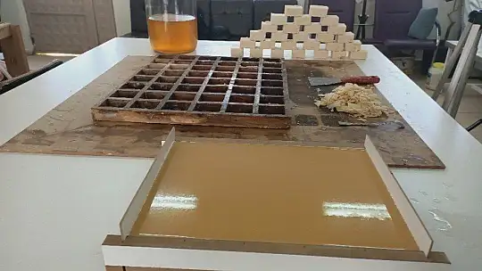 Kayısı Çekirdeği Üretime Kazandırıldı