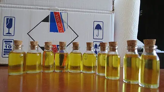Kayısı Çekirdeği Üretime Kazandırıldı
