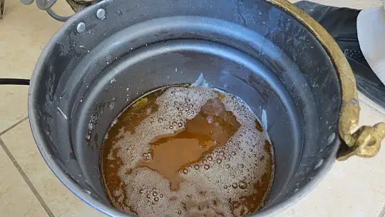 Kayısı Çekirdeği Üretime Kazandırıldı