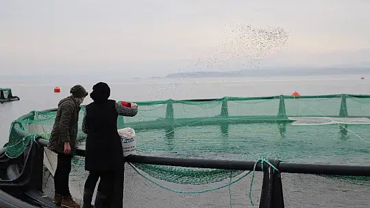 Keban Baraj Gölü'nün 'Balıkçı Annesi'