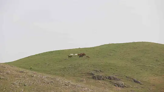 Keban Baraj Gölü üzerinde 9 saat süren tekne yolculuğu
